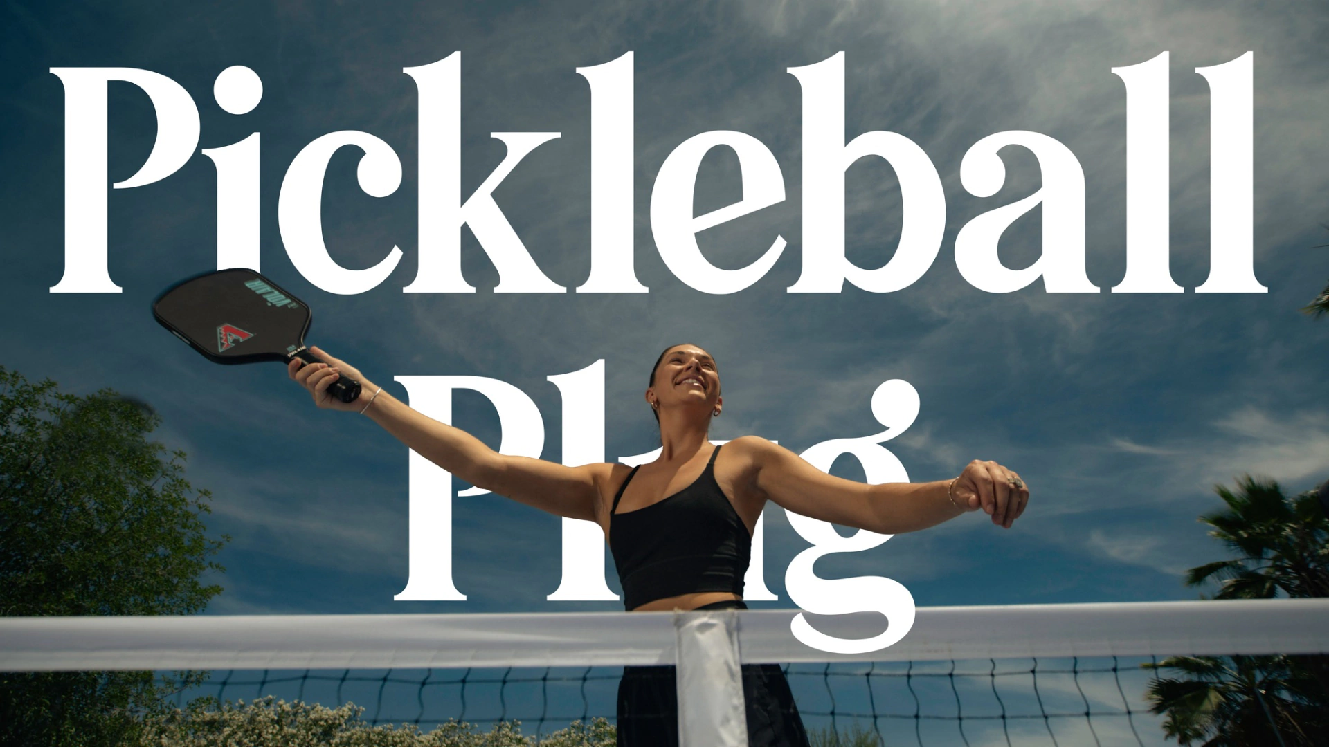 Pickleball Plug Hero 1